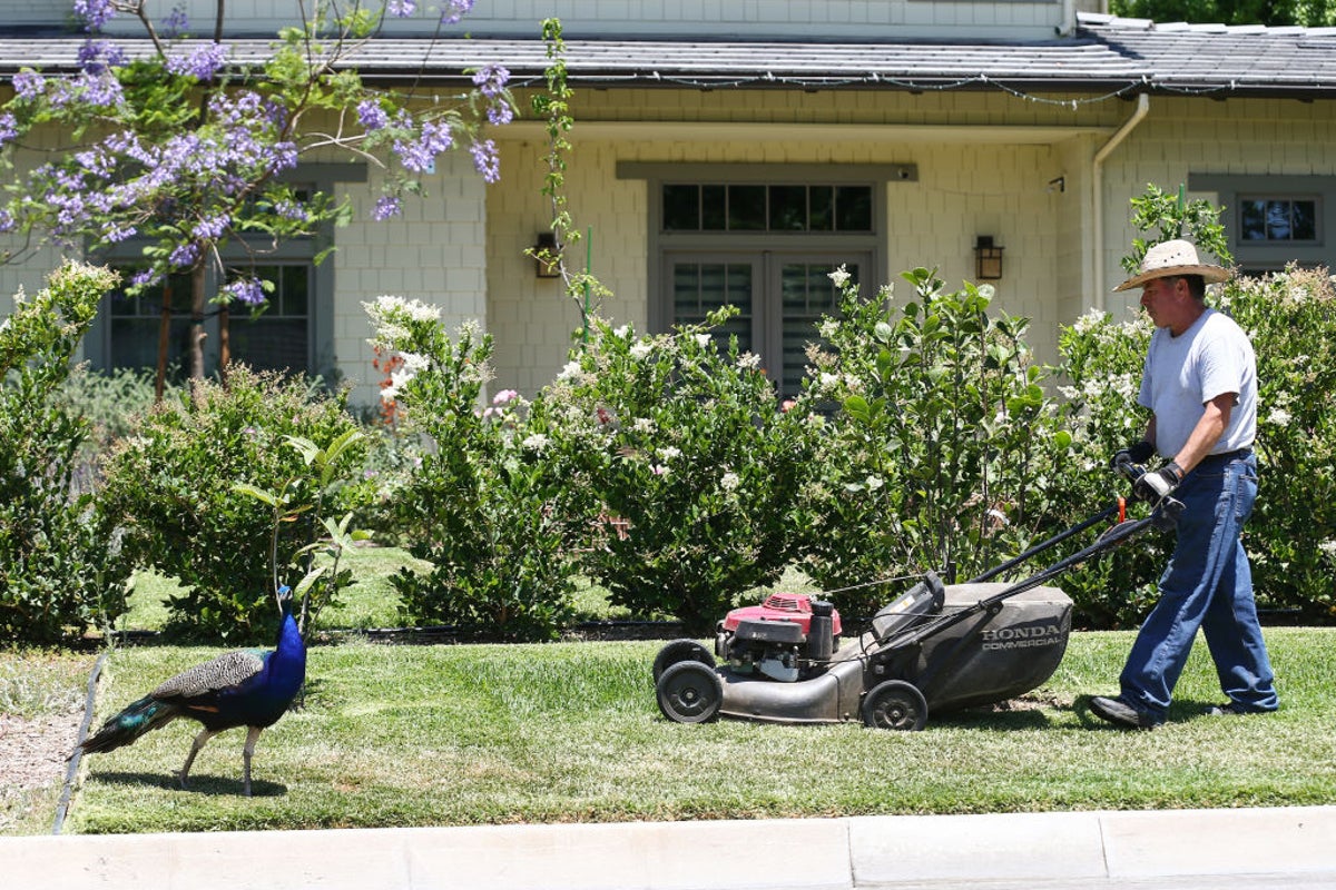 Nearly half of homes on the market have an HOA cost  - and here’s where they are most expensive