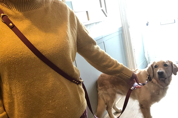 Best dog lead IndyBest review Trinkety Paws waterproof biothane handsfree dog training lead