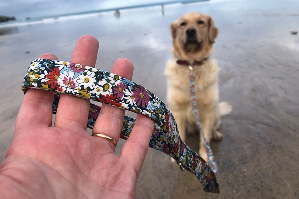 Best dog lead IndyBest review BlossomCo Libby Liberty print dog lead