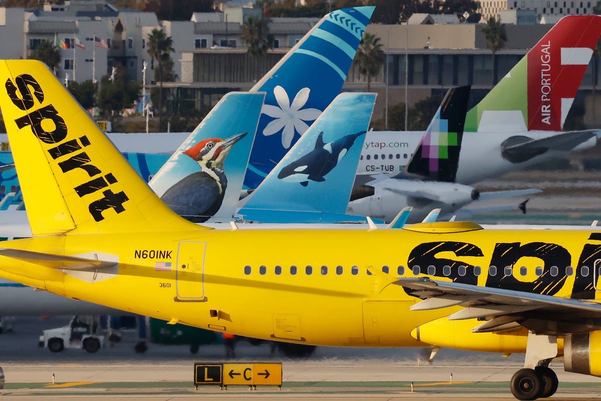 Some airlines charge passengers to speak to a human instead of using AI — and experts say the idea could catch on