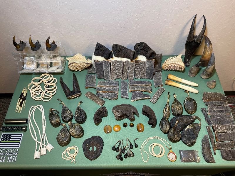 <p>Authorities arrested three people for wildlife trafficking violations after seizing hundreds of illegal animal products, including elephant tusks and rhinoceros horns in California </p>