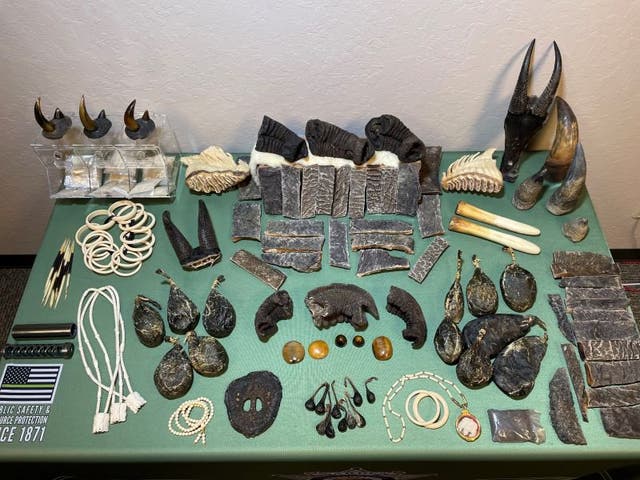 <p>Authorities arrested three people for wildlife trafficking violations after seizing hundreds of illegal animal products, including elephant tusks and rhinoceros horns in California </p>
