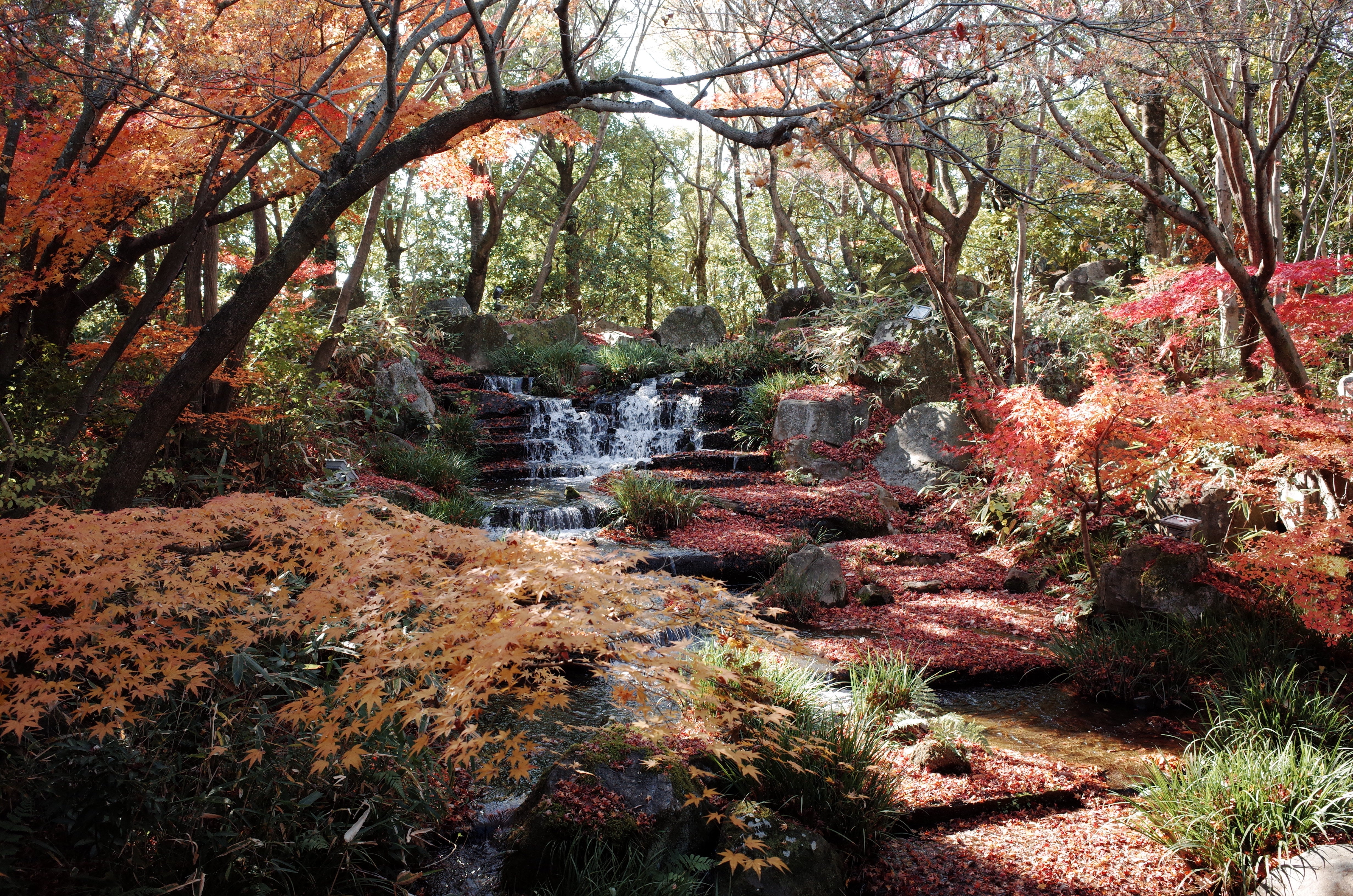 The Koko-en Garden next to Himeji Castle looks spectacular in autumn
