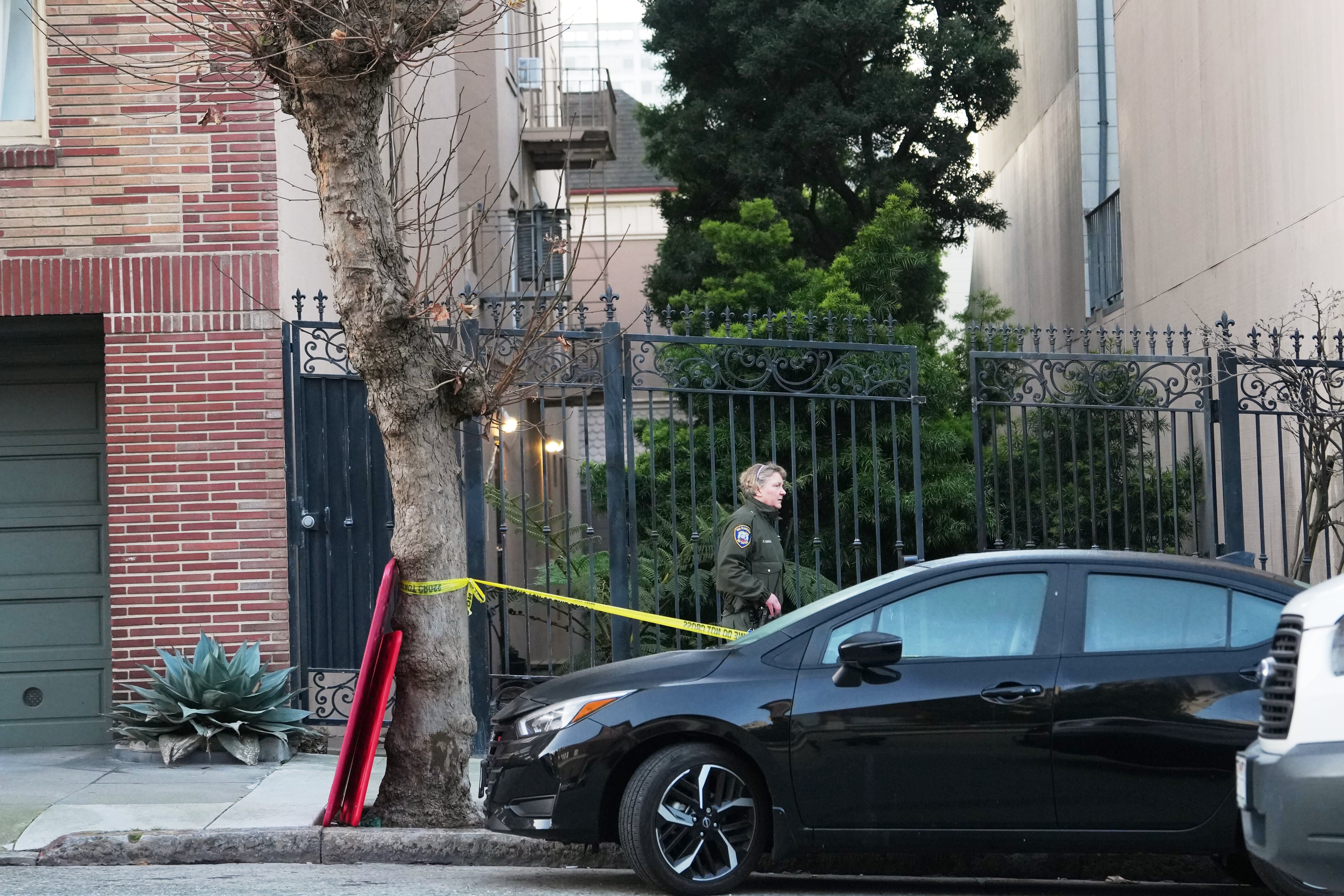 San Francisco Mountain Lion