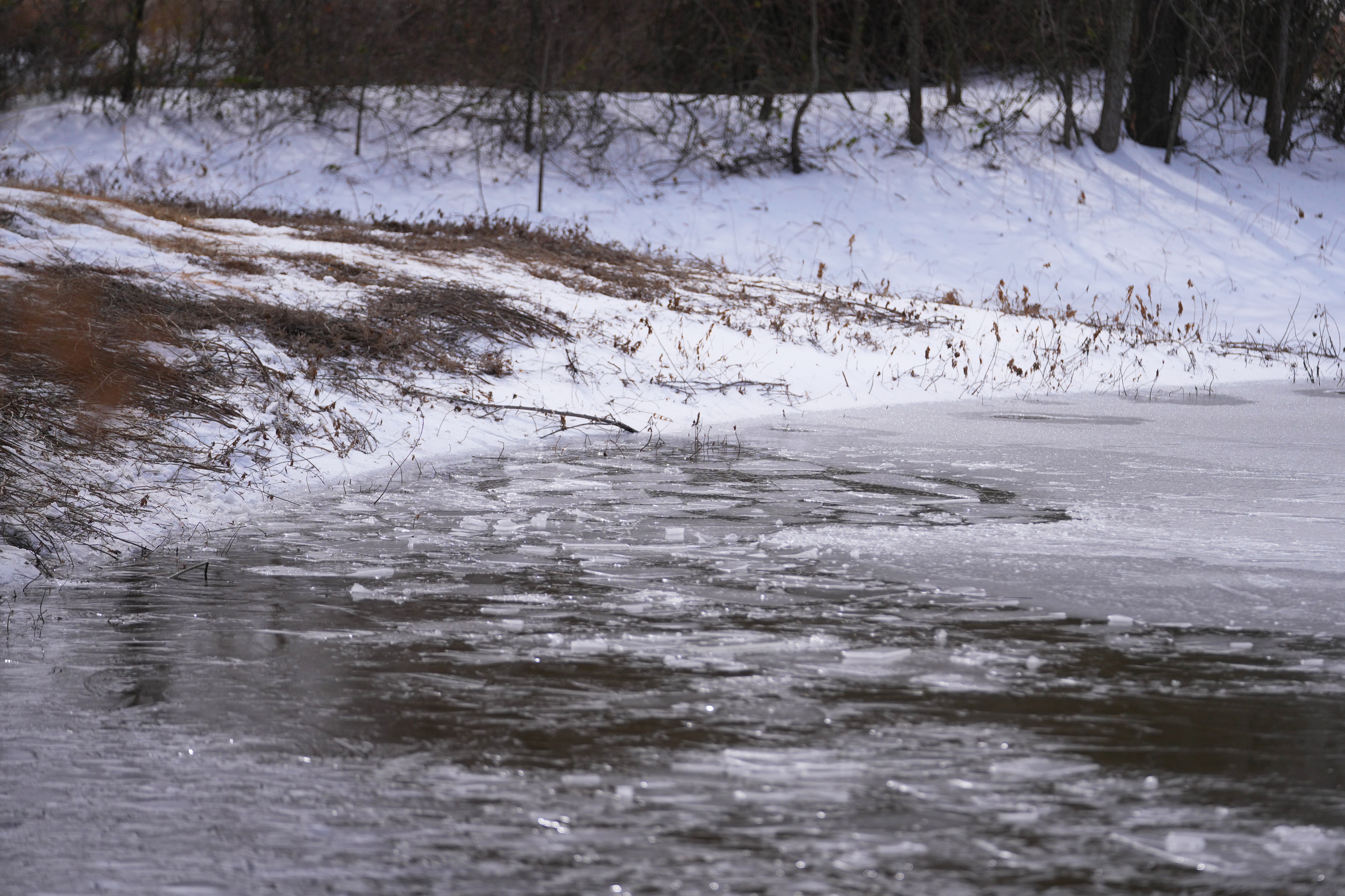 Winter Weather Pond Deaths
