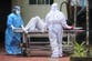 UK health chiefs issue new warning about Nipah virus