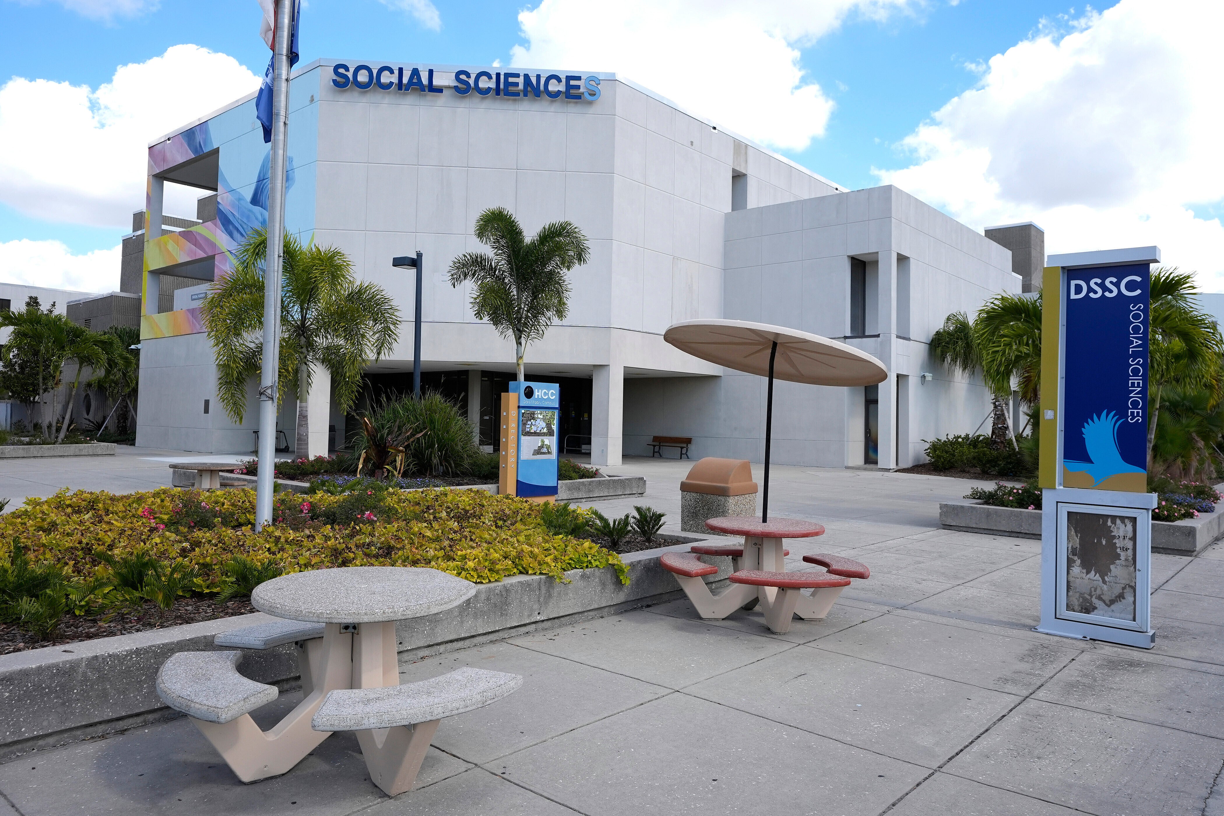 Tampa Bay Rays Stadium What To Know Baseball