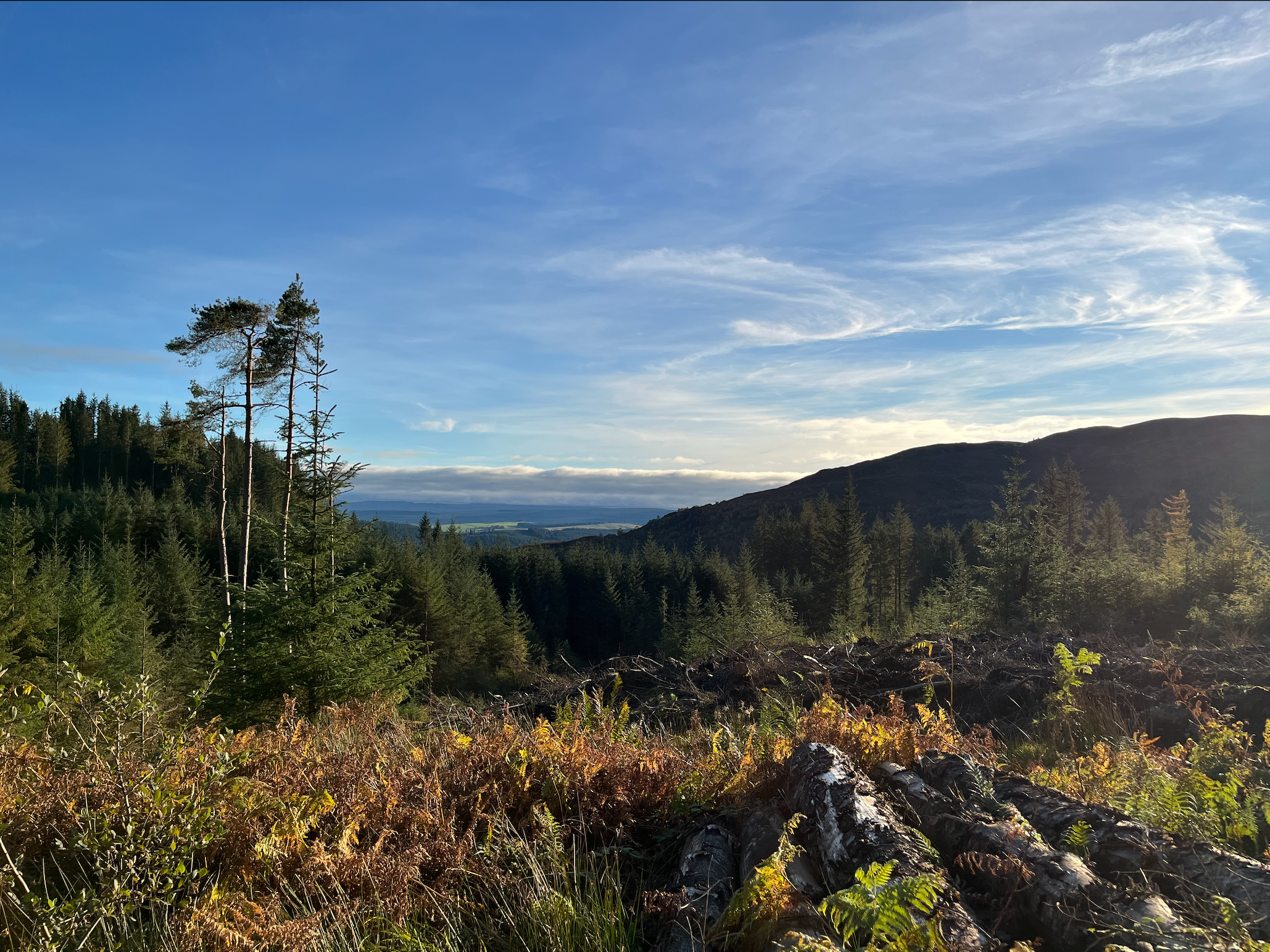 Views from the mountain in Trossachs National Park
