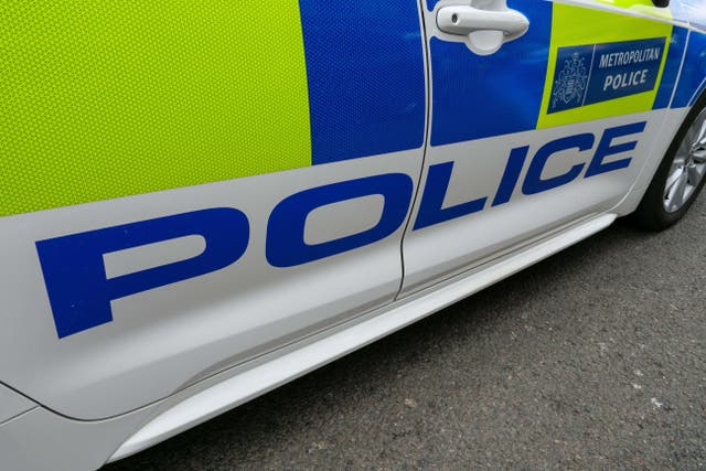 The Metropolitan Police reported a drop of nearly 1,500 full-time equivalent officers in the year to September 2025 (Alex Segre/Alamy)