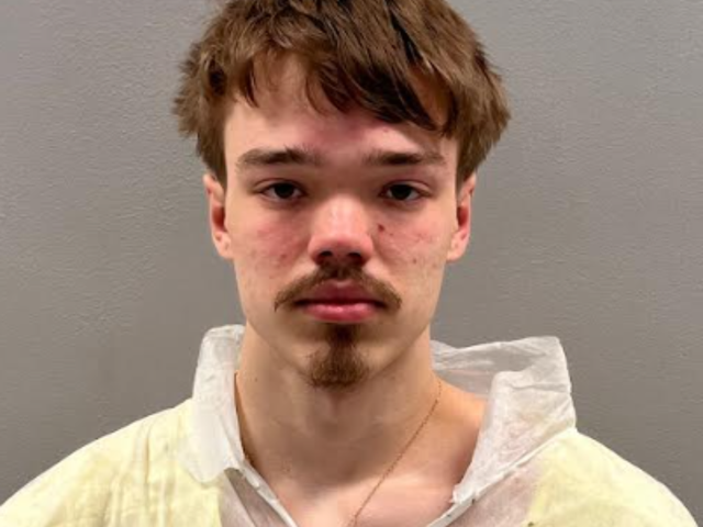 <p>Nedas Revuckas, 19, is charged with several murder and robbery charges in the stabbing death of Eliza Morales, who was five months pregnant</p>