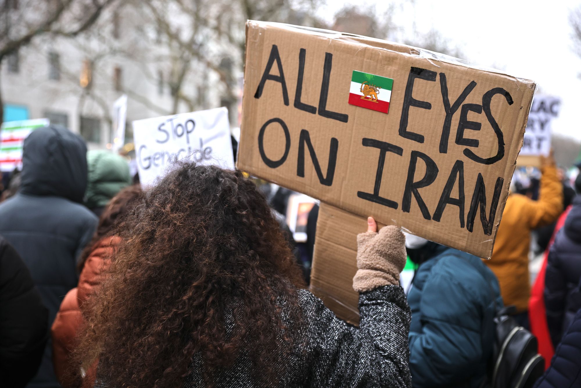 The brutal response to the anti-government protests across Iran since has drawn international condemnation, including in many EU countries
