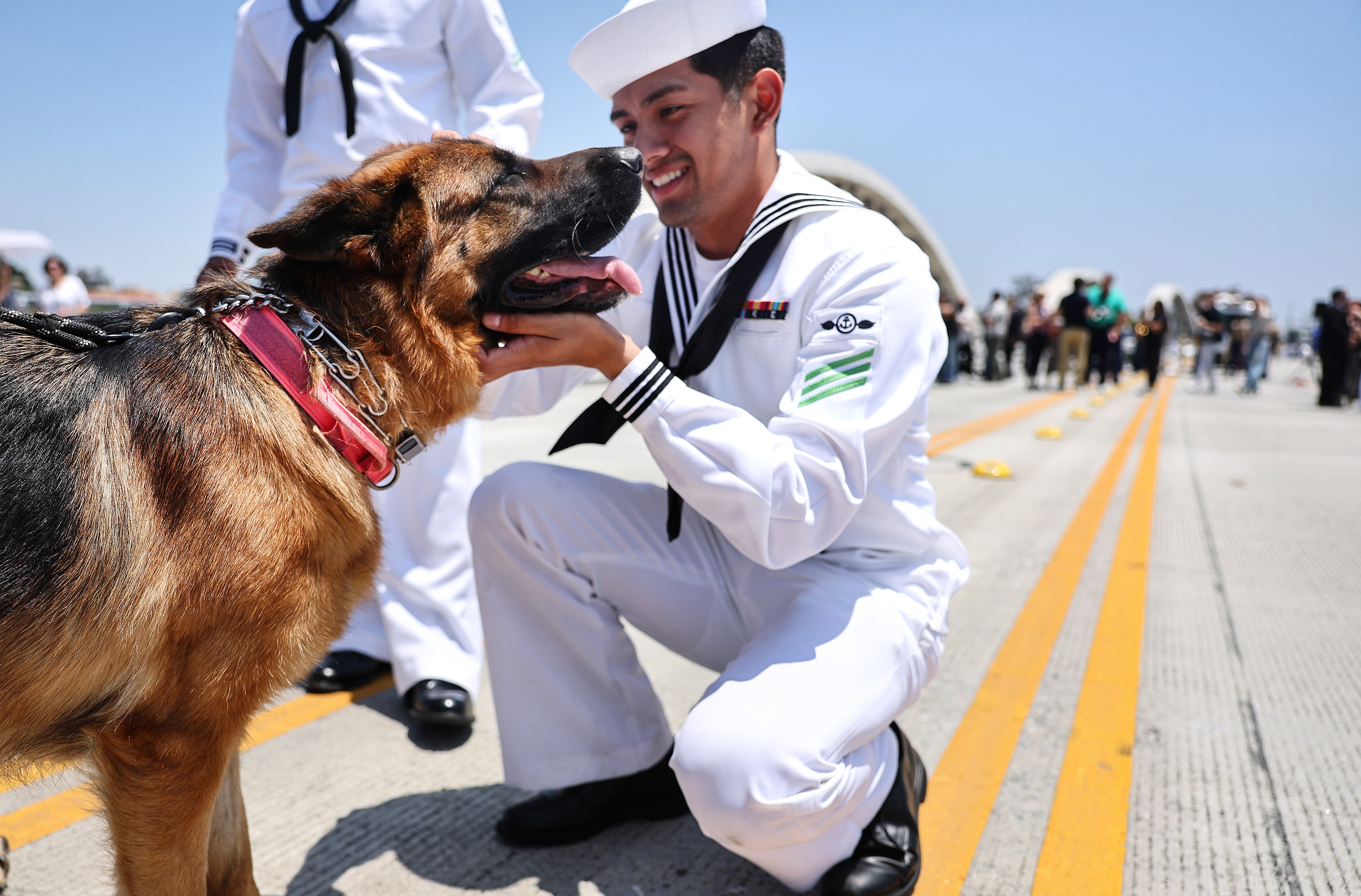 What’s the next big public health threat in the U.S.? Scientists say two animal-borne viruses could be ones to watch