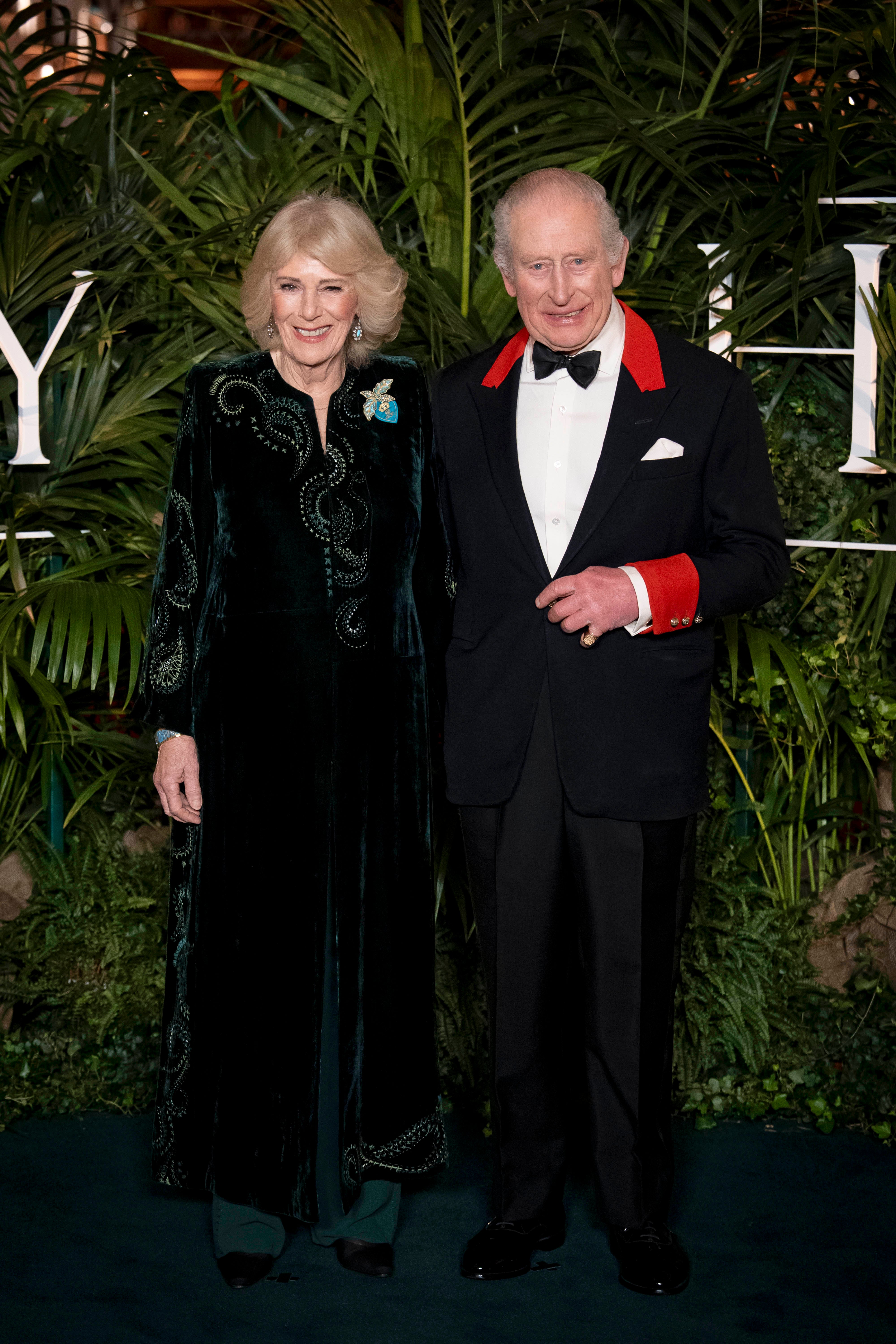 <p>King Charles and Queen Camilla attend the premiere of Prime Video's ‘Finding Harmony: A King's Vision’, at Windsor Castle in Berkshire on Wednesday</p>