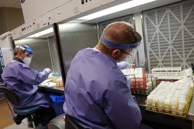 <p>HDC receiving staff prep arriving milk samples for testing at the Animal Health Diagnostic Center at Cornell University on December 10, 2024 in Ithaca, New York.</p>