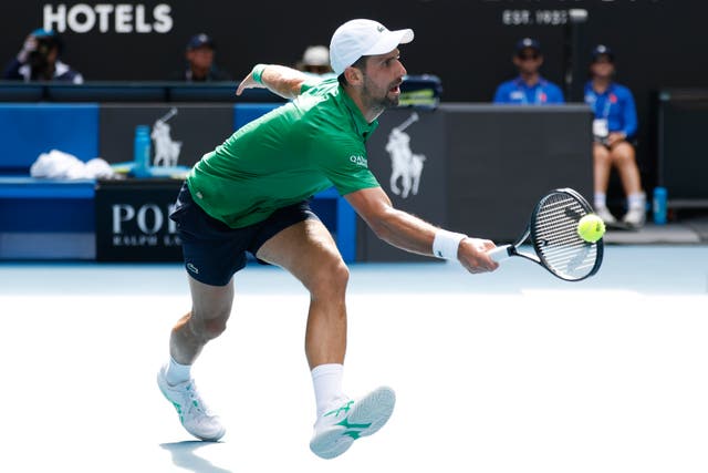 <p>Novak Djokovic admitted to touching the ball as he conceded the point to Lorenzo Musetti in the second set</p>
