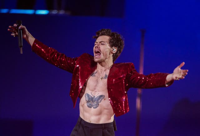 <p>Fans fumed after learning the prices for tickets to Harry Styles's 2026 tour</p>