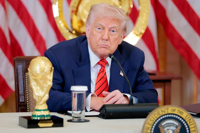 <p>Germany do not intend to boycott the World Cup despite calls for them to send a message to Donald Trump</p>