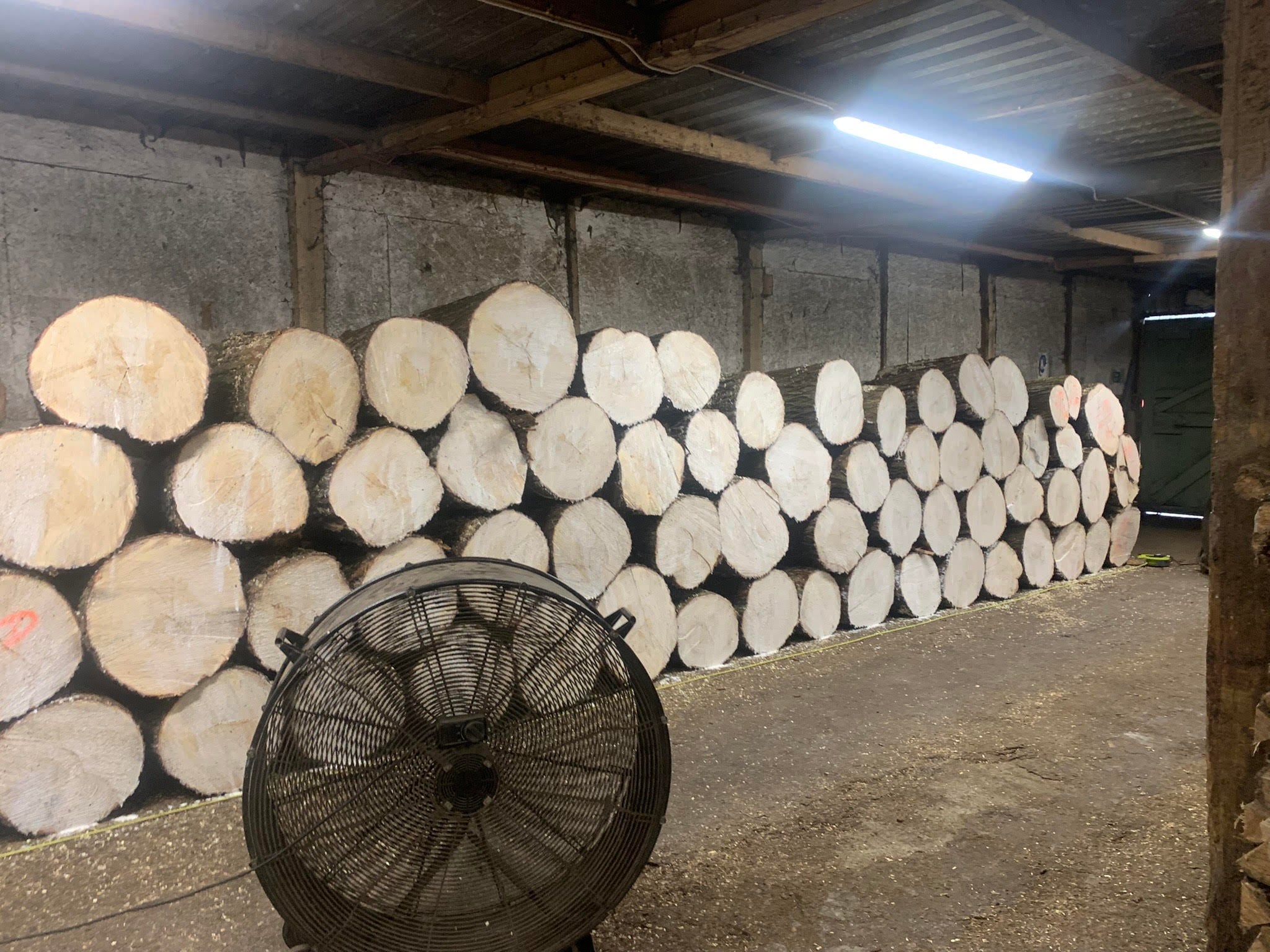 Willow tree trunks are dried and ready to be cut into ‘clefts’ to make each cricket bat
