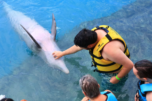 <p>Sean Curran, hijo de Carolyn Piro, juega con un delfín durante unas vacaciones. El hombre autista de 31 años fue expulsado del crucero en Nochebuena, según relató Piro</p>