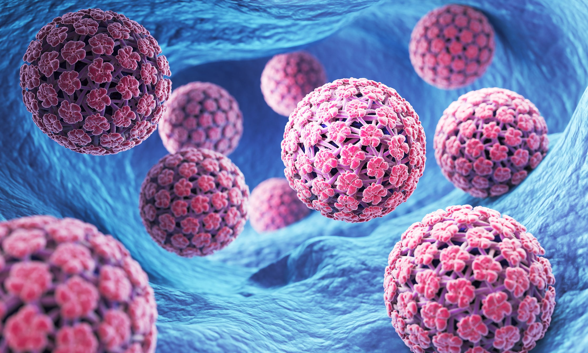 Certain types of the human papillomavirus, or HPV, can lead to several types of cancer, including cervical cancer among women and people with a cervix, genital warts, some head and neck cancers, including mouth and throat cancers, and genital cancer