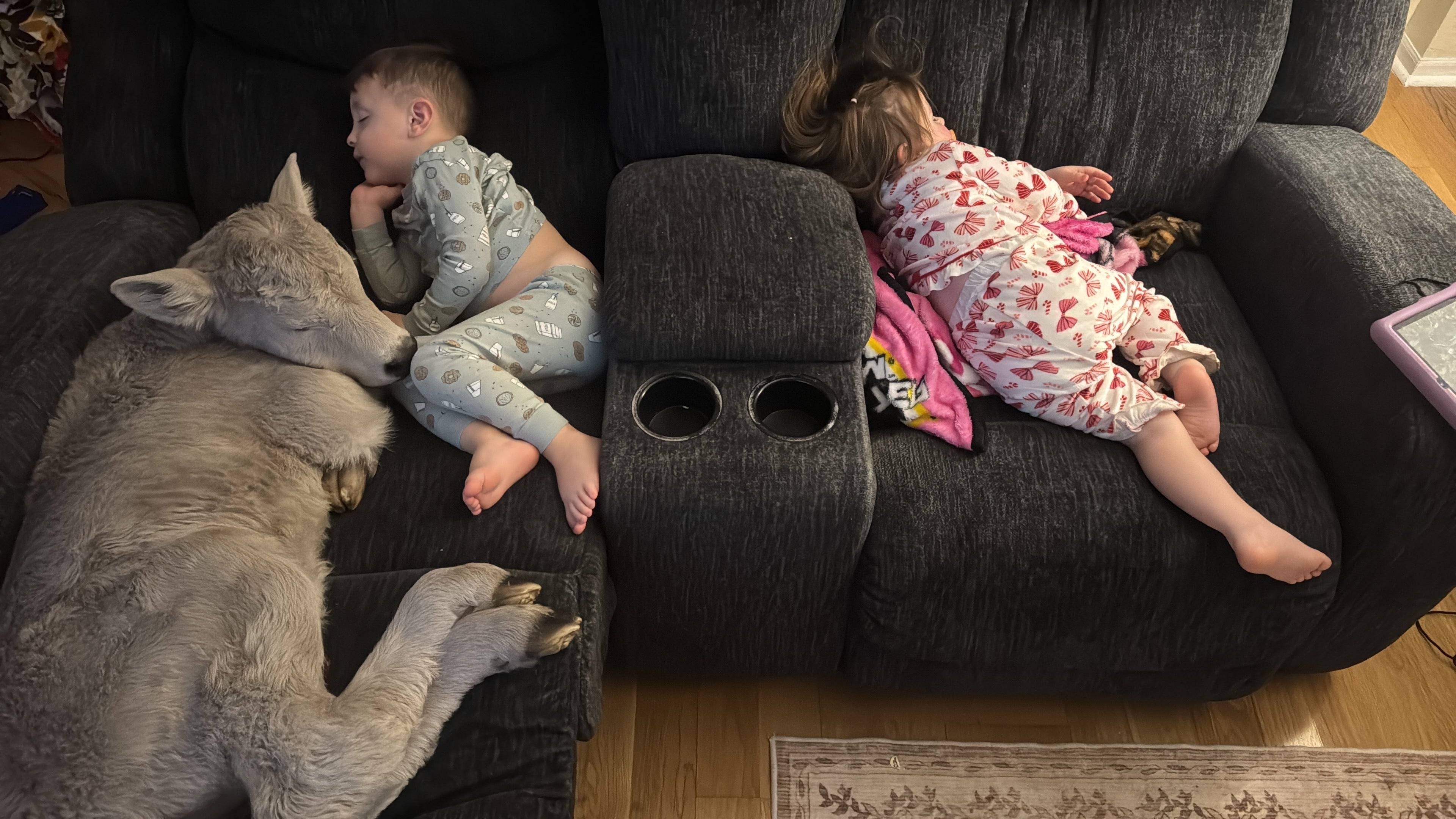 <p>The family discovered the tiny animal shivering and nearly frozen while checking on the pregnant mother.</p>