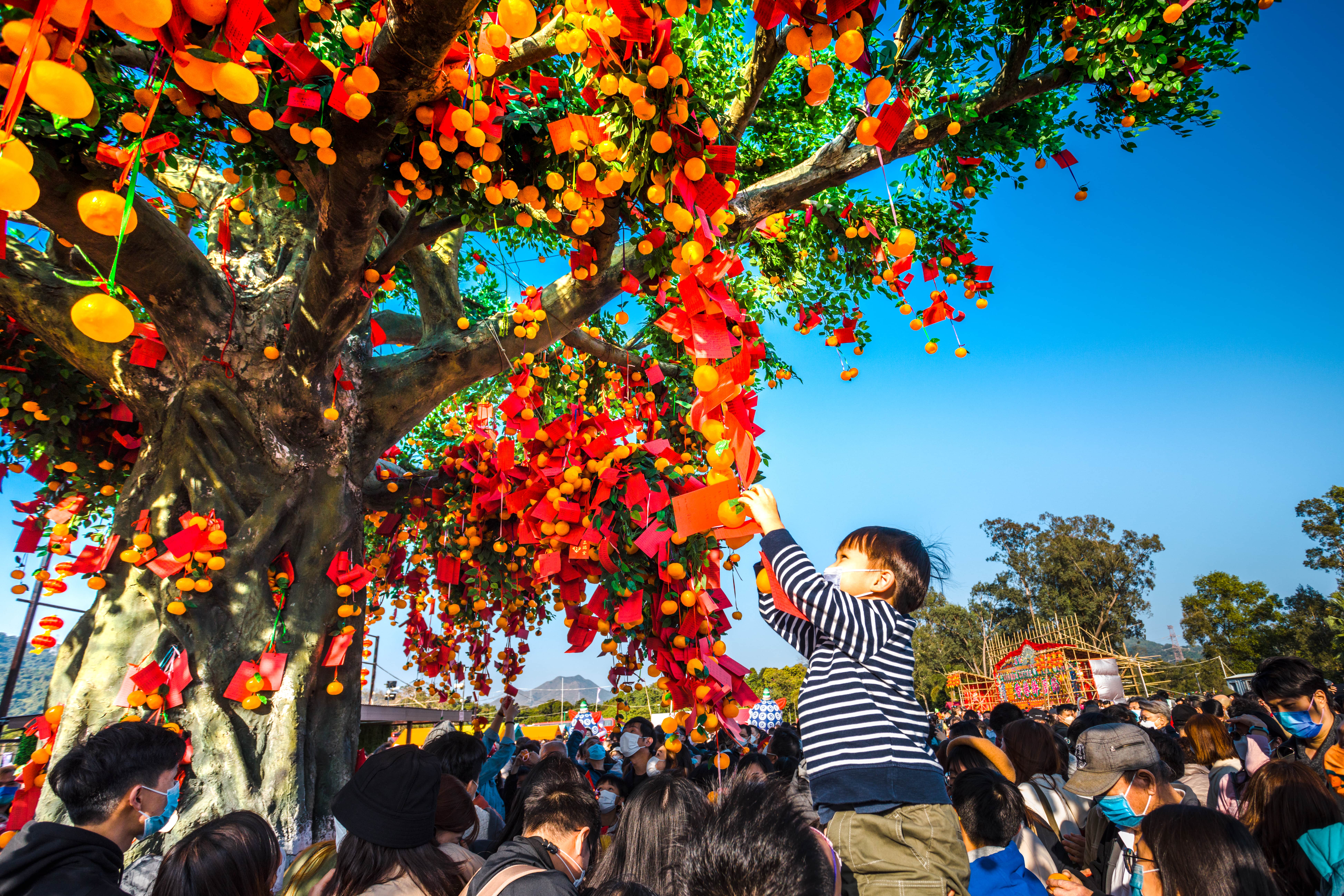Visitors make wishes at the Lam Tsuen Wishing Trees in the Tai Po District