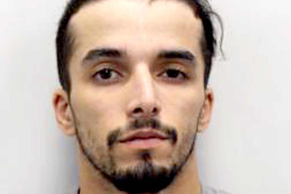 Mistakenly freed sex offender jailed again for biting police officers