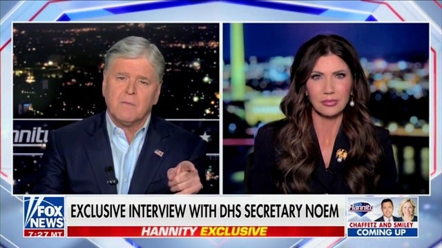<p>Fox News host Sean Hannity grills Kristi Noem on her repeated claims that US citizens shot by immigration enforcement are ‘domestic terrorists.’</p>
