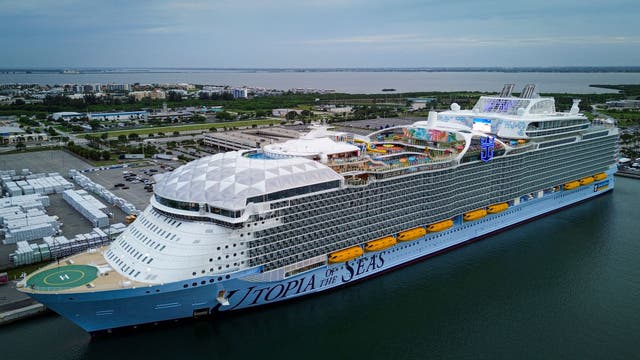 <p>Royal Caribbean 'expects double-digit' revenue growth this year as demand increases, the company said</p>