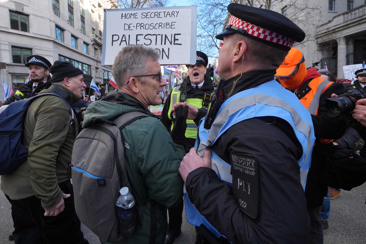 Renowned activist arrested over placard at pro-Palestine protest