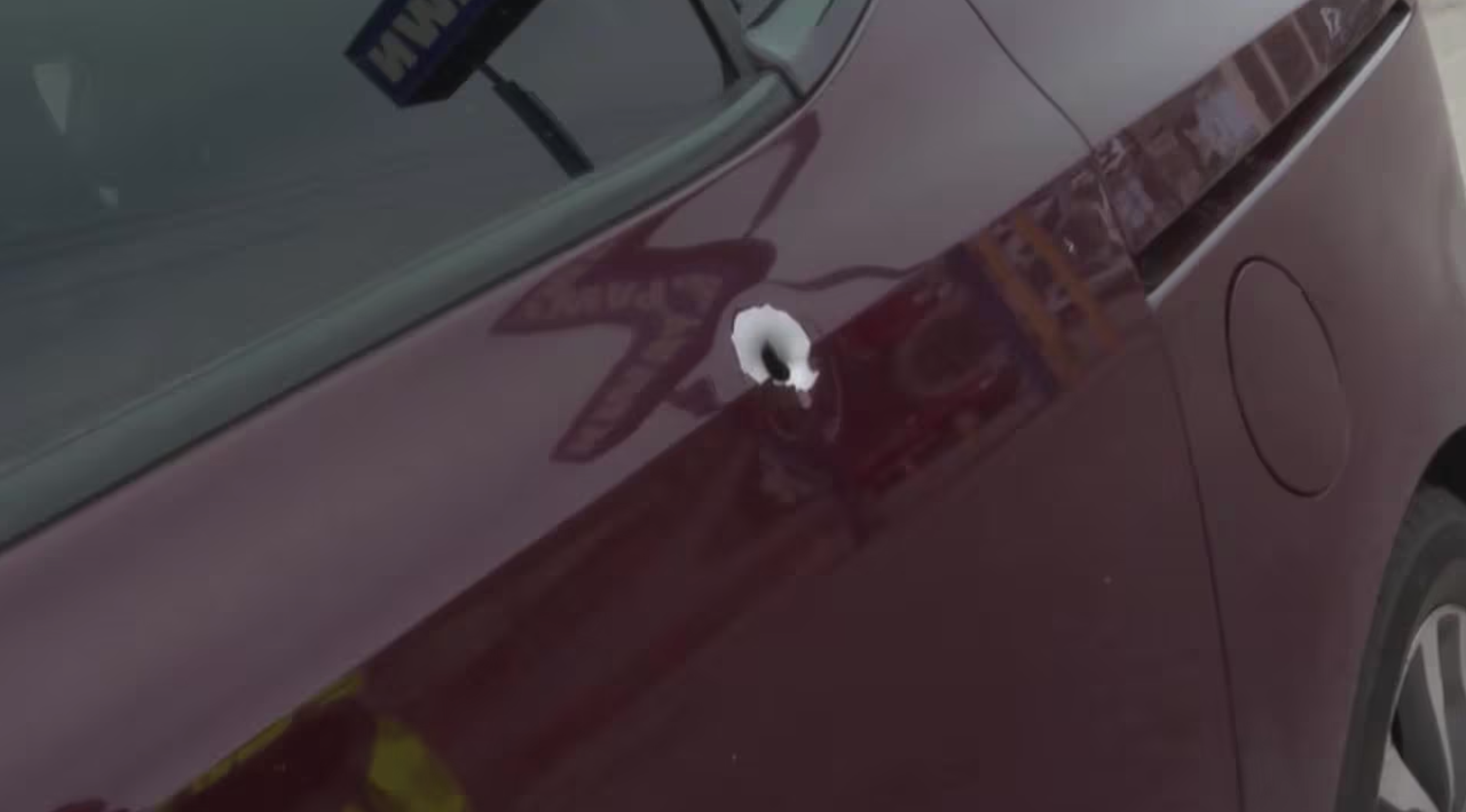 The bullet Bryan Arceo allegedly fired pierced the side of the van and struck 10-year-old Alisa Gates She was rushed to the hospital and underwent surgery