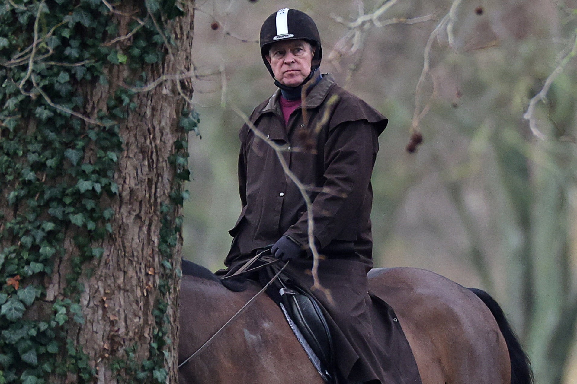 ‘Only a few hours after the release of the latest damning Epstein files, which shared further unsavoury details of his antics, Andrew was photographed on horseback in Windsor, looking as if he owned the place’