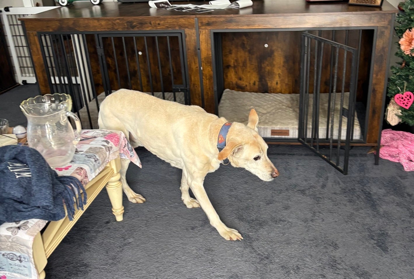 Oakley fell victim to the slippery conditions in Giles County, Virginia, last week when he lost his footing and slid backwards off a cliff