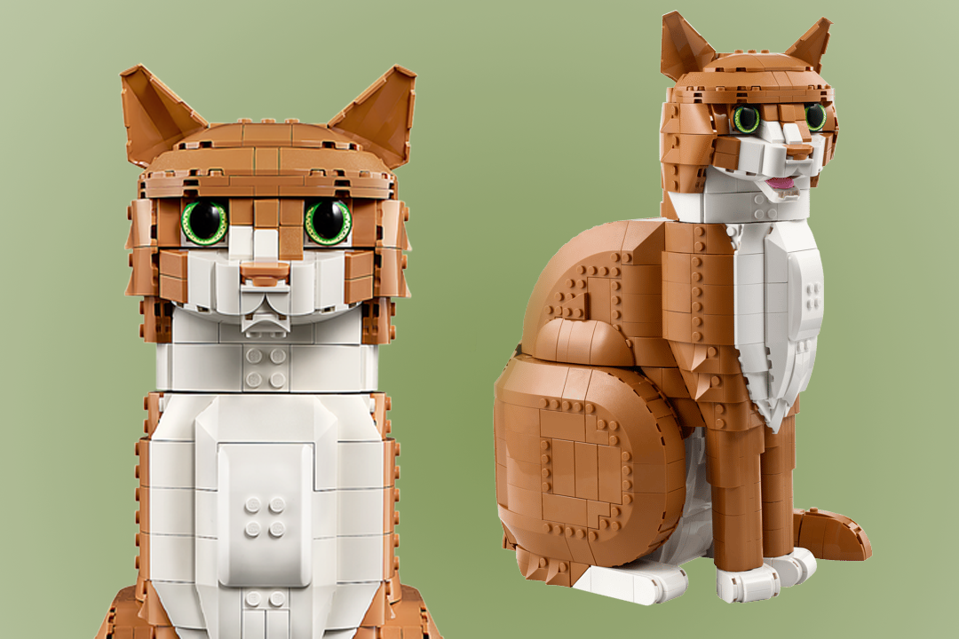 <p>The 1,755 brick feline construction costs £89.99</p>