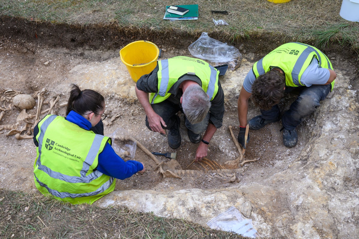 Pit-burial in Glebe South