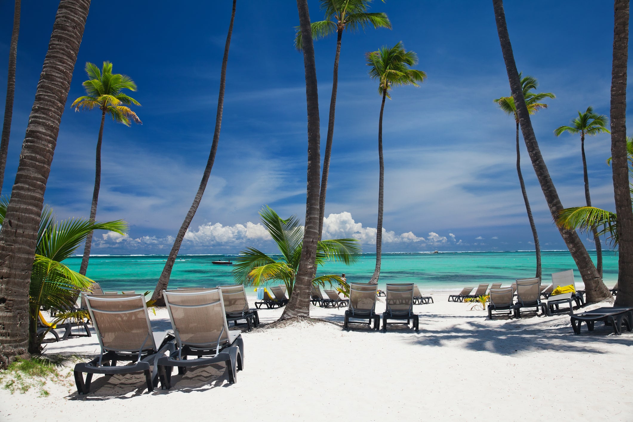 <p>Fly away to Punta Cana with these savings</p>