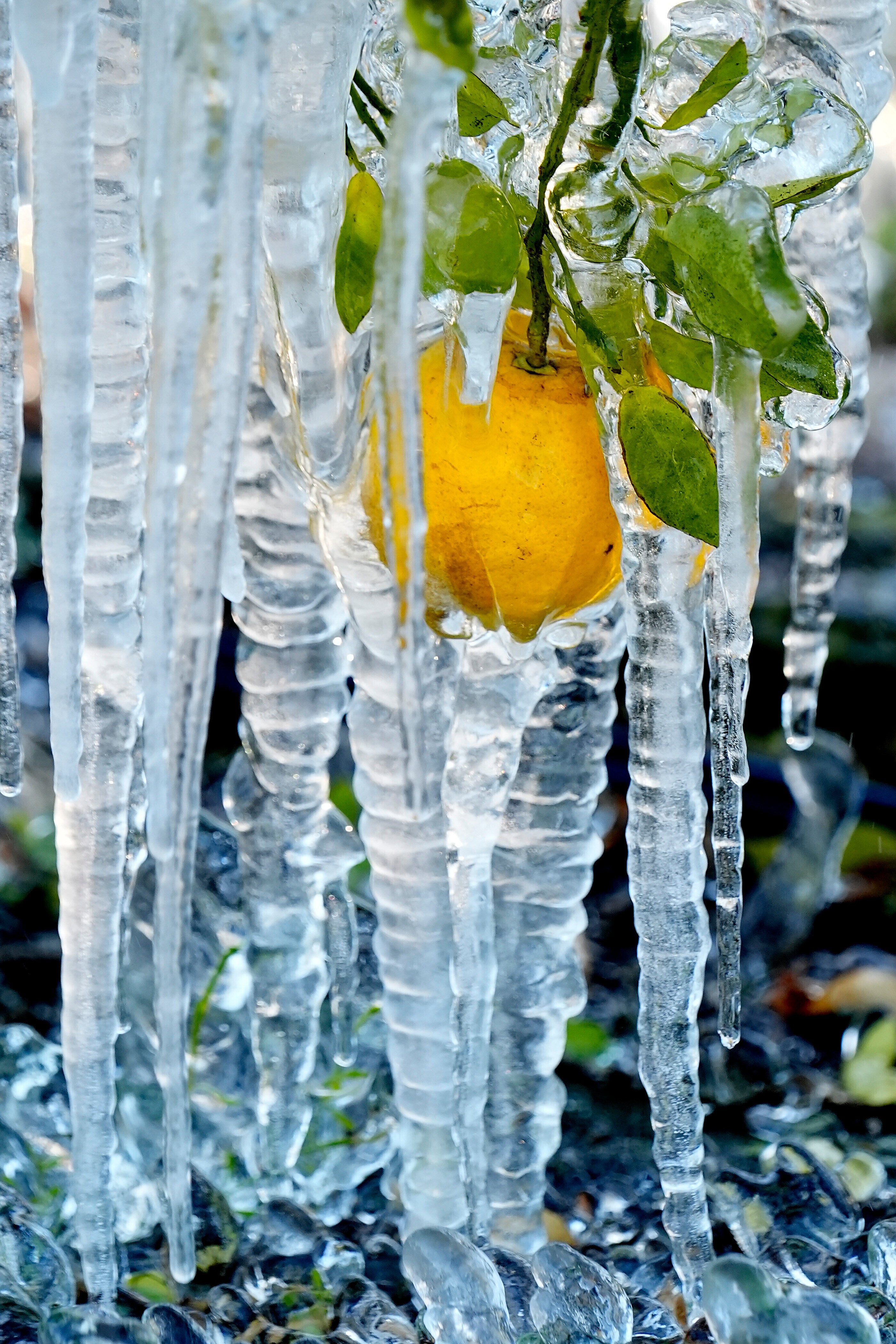 Top Vertical Photos Photo Gallery