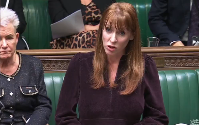 <p>Angela Rayner sided with the Tories against Keir Starmer</p>