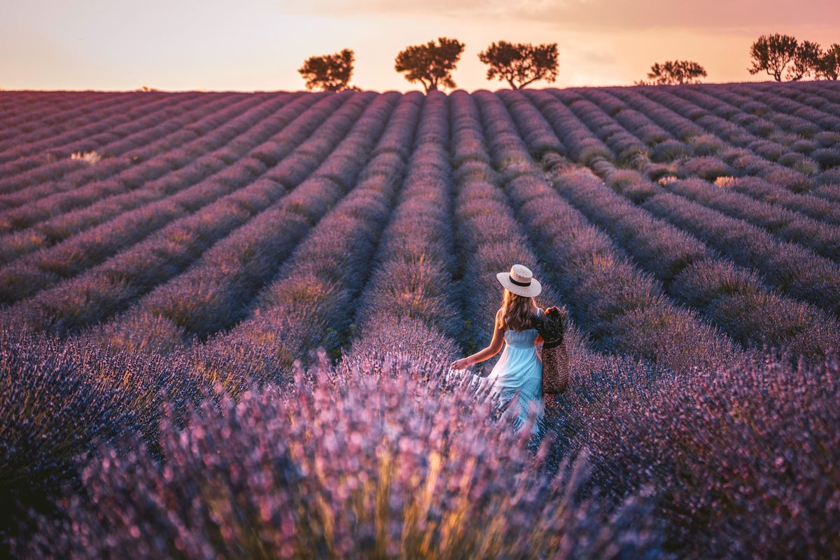 Europe’s seasonal wonders worthy of planning your weeklong vacation around – UK Times Europe’s seasonal wonders worthy of planning your weeklong vacation around – UK Times