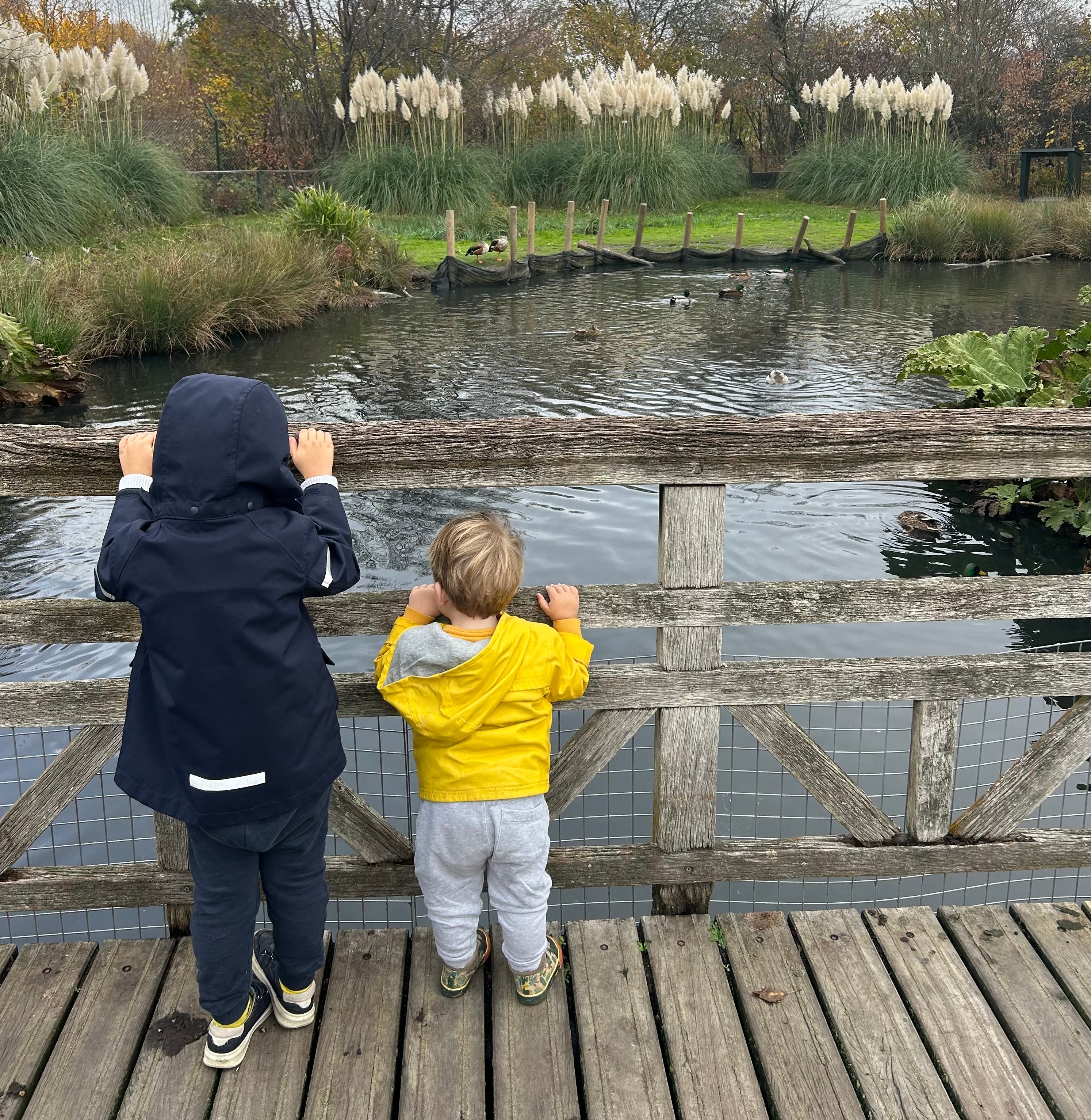 Fines don’t stop me taking my children out of school for holidays – but fear does