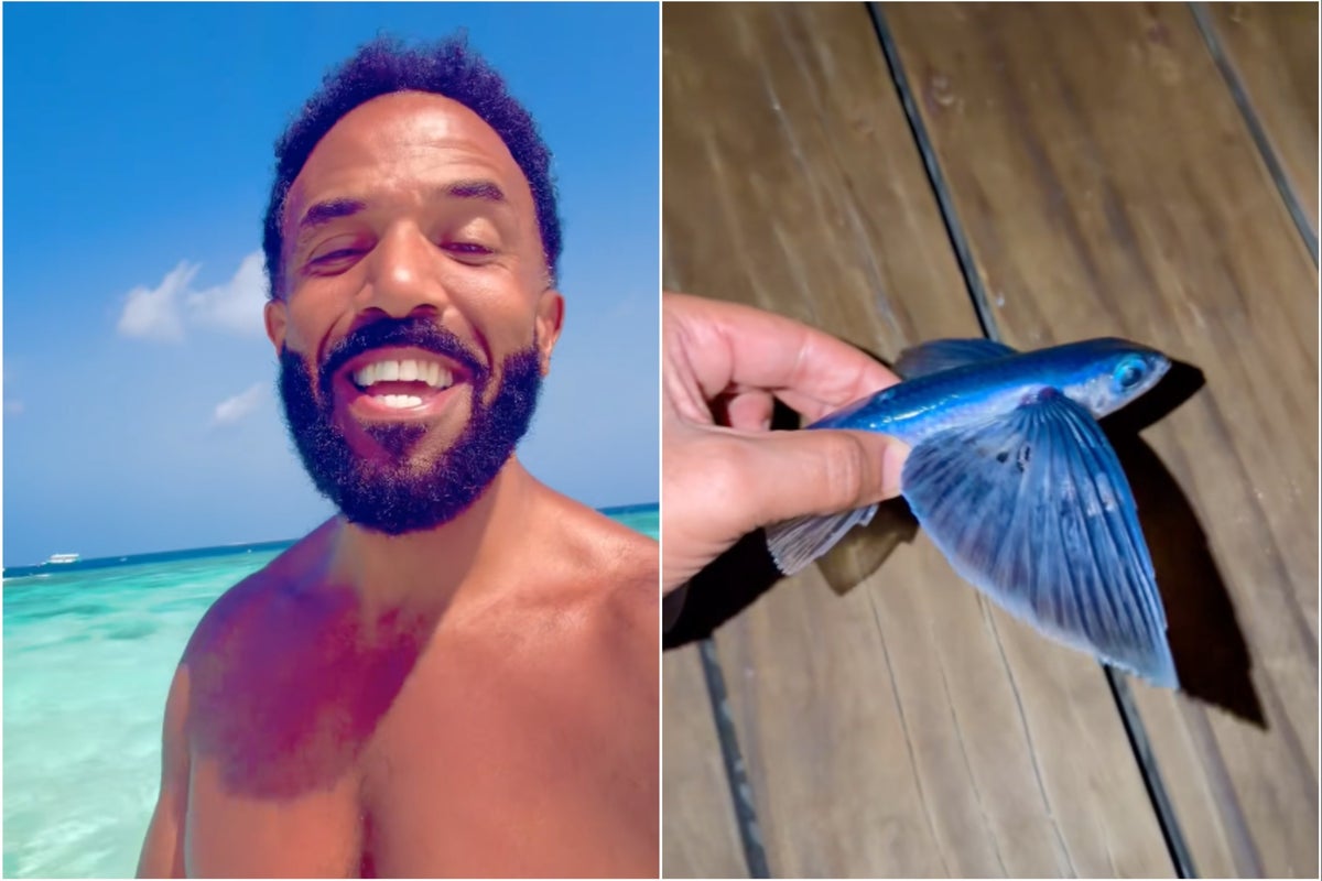 ‘Oh dear’: Craig David’s attempt to rescue flying fish goes hilariously wrong ‘Oh dear’: Craig David’s attempt to rescue flying fish goes hilariously wrong