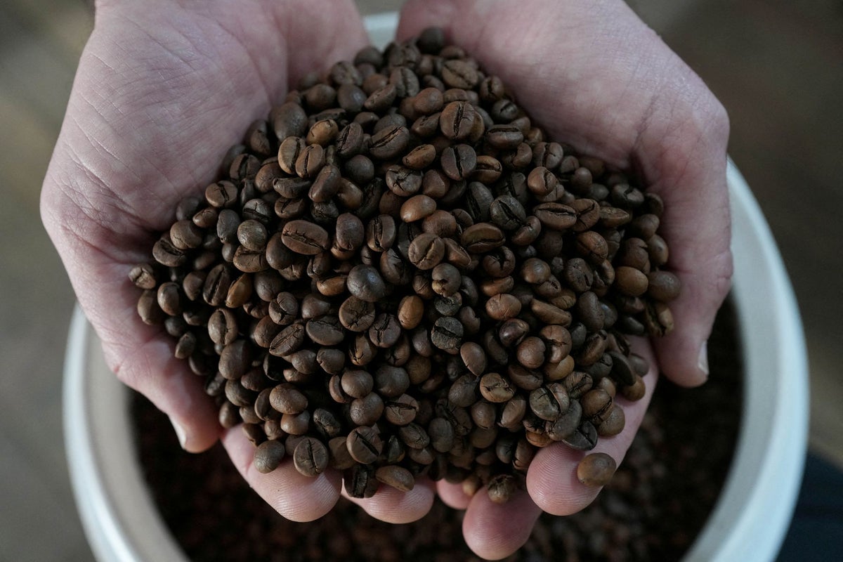 World’s largest coffee producer set to harvest more beans than ever
