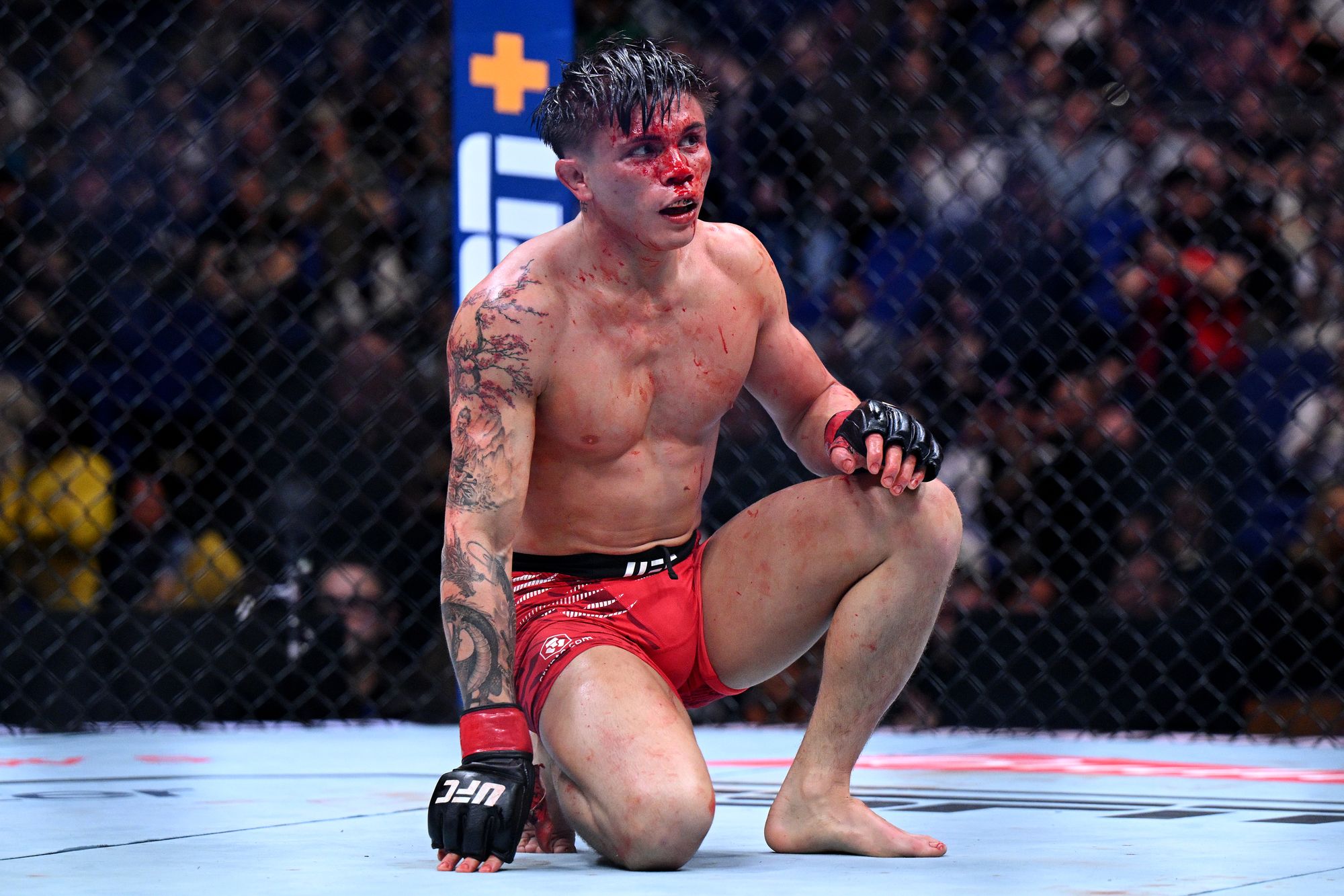 British UFC star catapulted into main event with former champion despite KO loss
