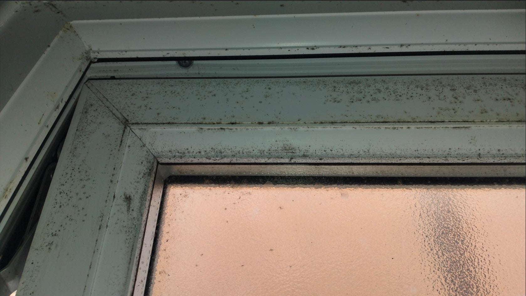 Mold grows on Adrian's bedroom window