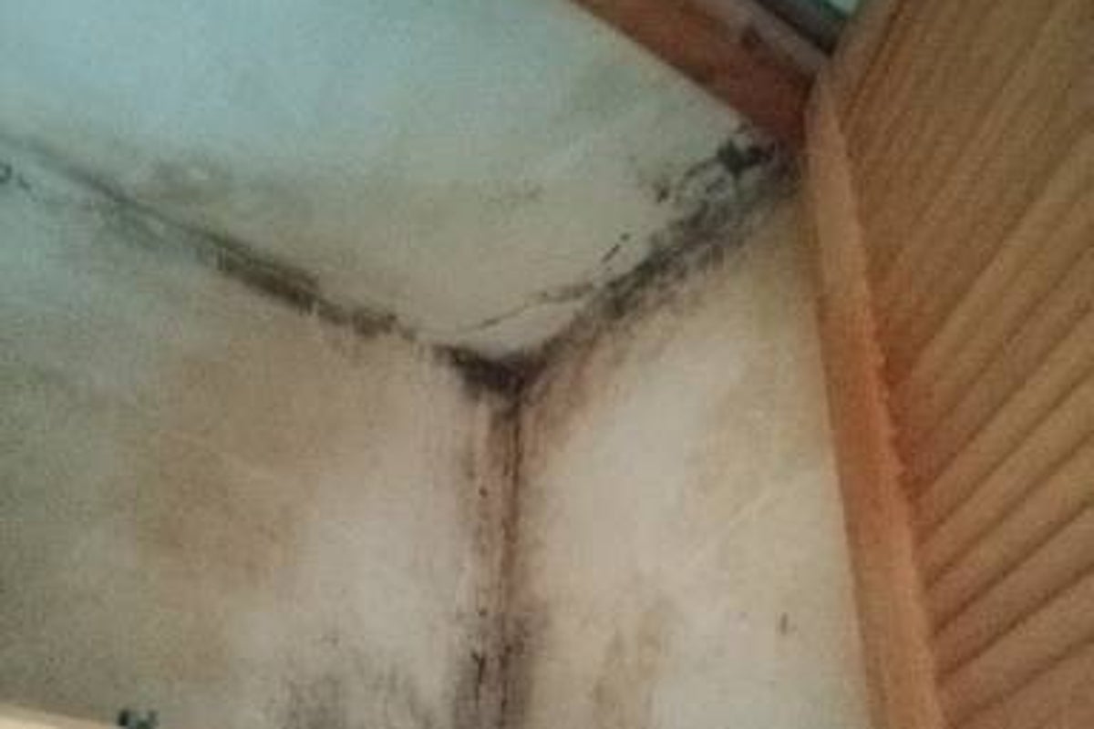 Disgusting': Renters react to Labour's decade delay on mouldy home crackdown