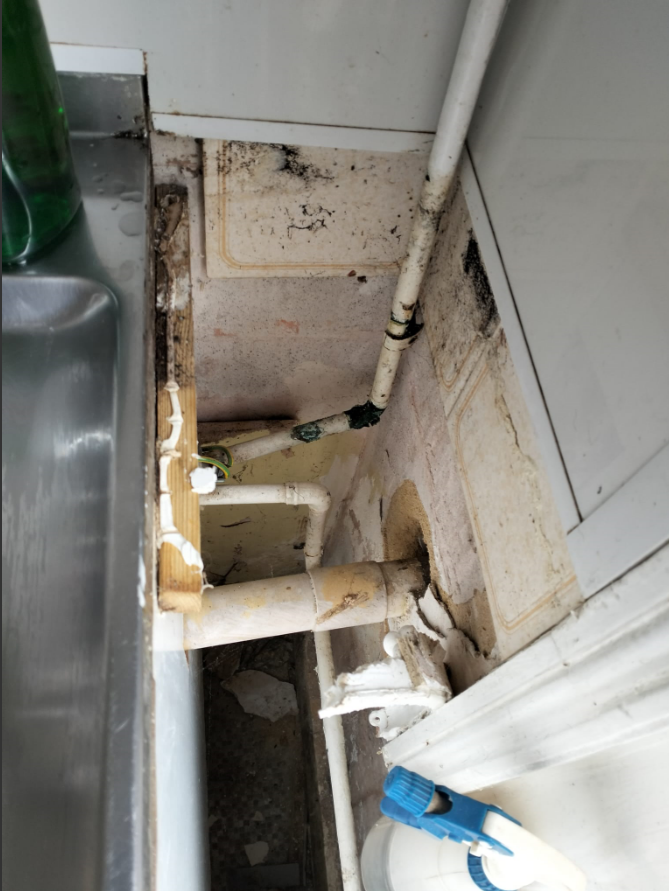 Mold is growing next to the sink in Adrian's bathroom