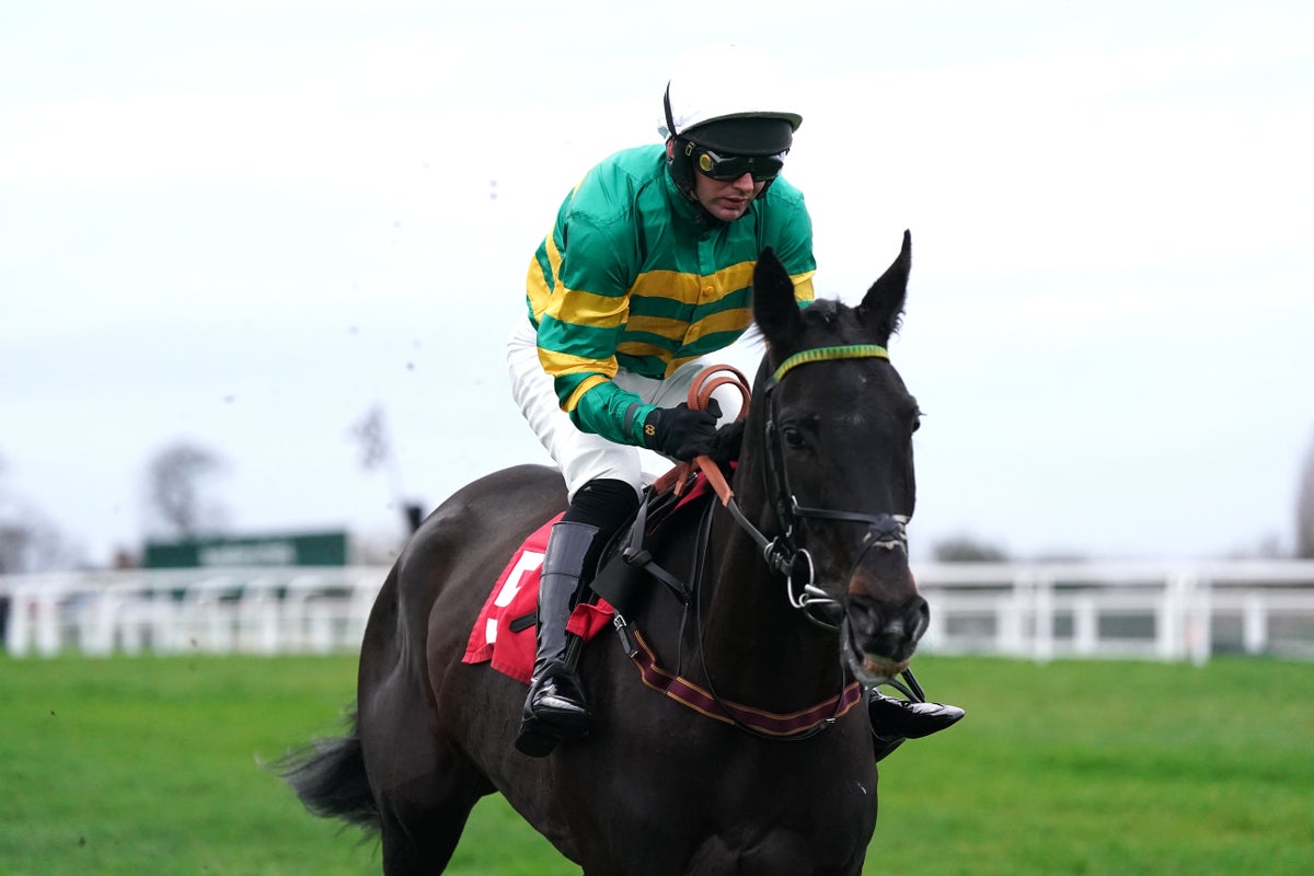 Friday’s tips: Best bets and odds for Bangor and Wolverhampton