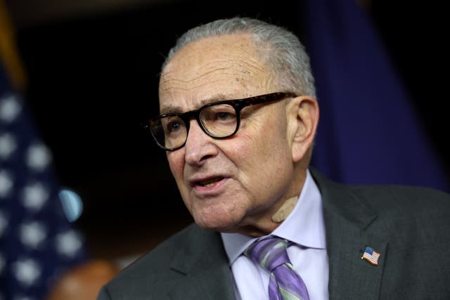 <p>Senate Minority Leader Chuck Schumer outlined Demoratic  demands for ICE accountability as Congress debates funding legislation for the DHS ahead of next week's deadline. </p>