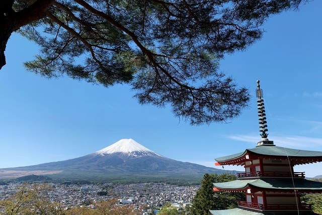 <p>El Monte Fuji visto desde el Santuario Arakura Fuji Sengen, en la ciudad de Fujiyoshida, prefectura de Yamanashi, el 22 de abril de 2021</p>