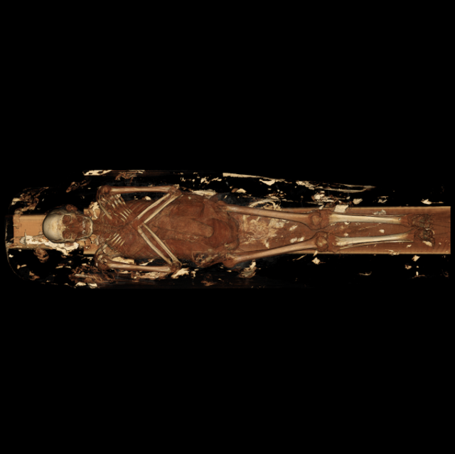 <p>3D digital model provides clear view of Egyptian mummy's skeleton</p>